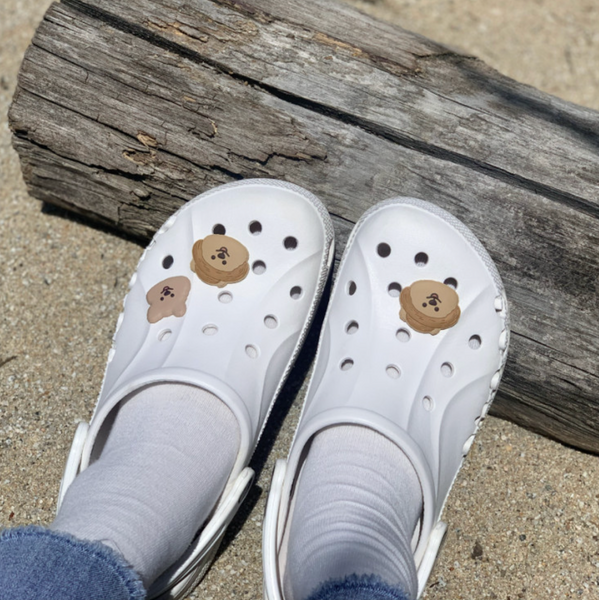 Young Forest/ Quokka Crocs Charms