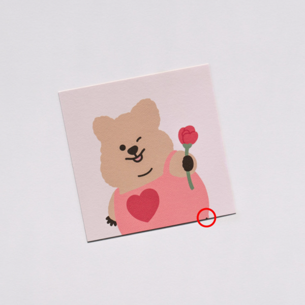 Young Forest/ Flower Quokka Card