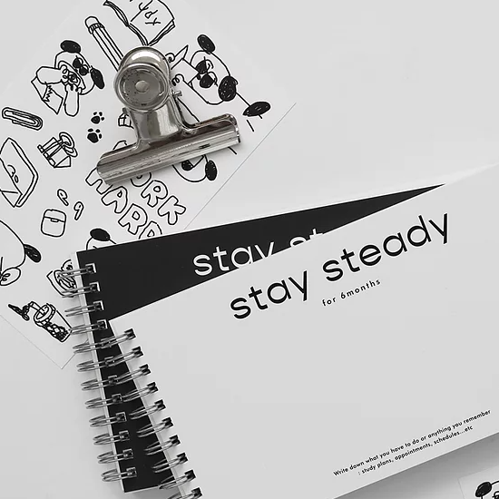 [現貨] Be on / Stay steady 6 month planner （3款）.