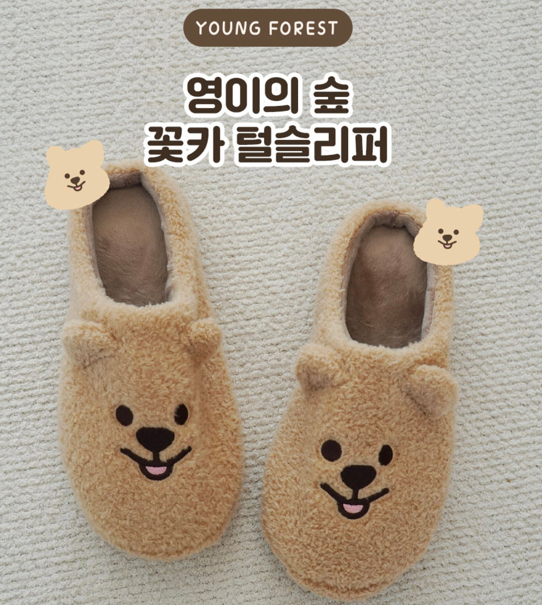 Young Forest/ Quokka Home Slippers