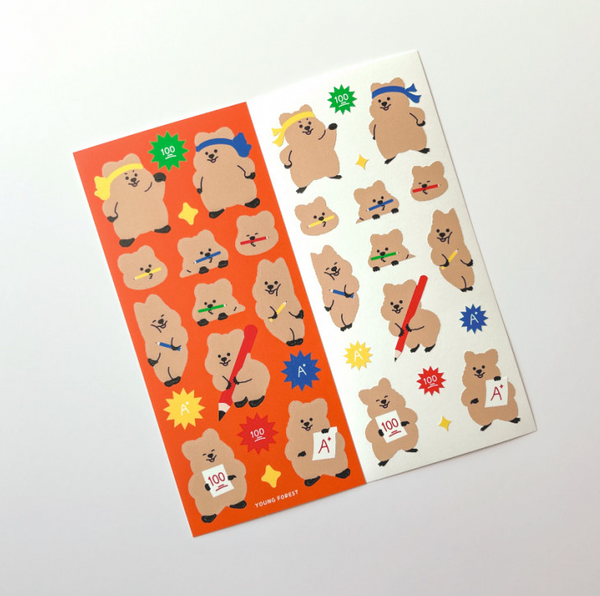 Young Forest / Study Quokka stickers 貼紙